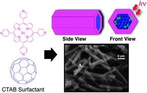 Graphical abstract: Fullerene-encapsulated porphyrin hexagonal nanorods. An anisotropic donor–acceptor composite for efficient photoinduced electron transfer and light energy conversion