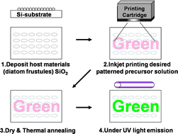 Graphical abstract: Biogenic silica based Zn2SiO4:Mn2+ and Y2SiO5:Eu3+ phosphor layers patterned by inkjet printing process