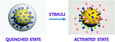 Graphical abstract: Activatable imaging probes with amplified fluorescent signals