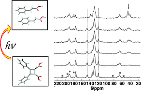 Graphical abstract: Temperature stability and photodimerization kinetics of β-cinnamic acid and comparison to its α-polymorph as studied by solid-state NMR spectroscopy techniques and DFT calculations