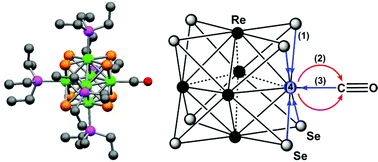 Graphical abstract: Cluster carbonyls of the [Re6(μ3-Se)8]2+ core: synthesis, structural characterization, and computational analysis