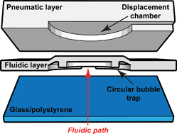 Graphical abstract: An active bubble trap and debubbler for microfluidic systems