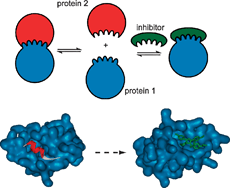 Graphical abstract: Inhibition of protein–protein interactions using designed molecules