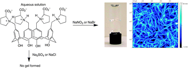 Graphical abstract: Proline-functionalised calix[4]arene: an anion-triggered hydrogelator
