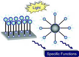 Graphical abstract: Nanostructured molecular films and nanoparticles with photoactivable functionalities