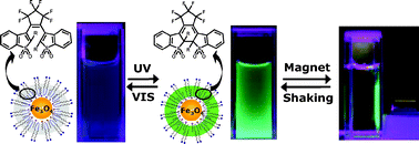 Graphical abstract: Superparamagnetic iron oxide nanoparticles with photoswitchable fluorescence