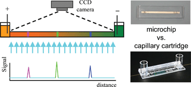 Graphical abstract: Side-by-side comparison of disposable microchips with commercial capillary cartridges for application in capillary isoelectric focusing with whole column imaging detection