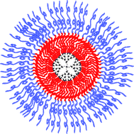 Graphical abstract: Polymeric nanocarriers possessing thermoresponsive coronas