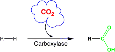Graphical abstract: Biocatalytic carboxylation