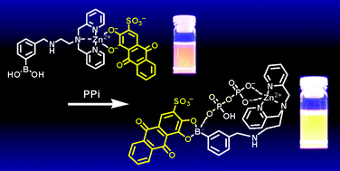 Graphical abstract: Pyrophosphate-induced reorganization of a reporter–receptor assemblyviaboronate esterification; a new strategy for the turn-on fluorescent detection of multi-phosphates in aqueous solution