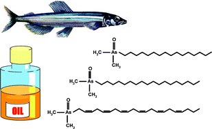 Graphical abstract: Arsenic-containing hydrocarbons: natural compounds in oil from the fish capelin, Mallotus villosus