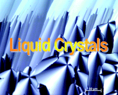 Graphical abstract: Theme issue: liquid crystals beyond display applications