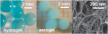 Graphical abstract: Aerogel materials from marine polysaccharides