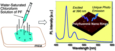 Graphical abstract: Polyfluorene nano-rings and nano-dots on mica surfaces: evaporation-induced polymer self-assembly and photoluminescence properties of the assemblies
