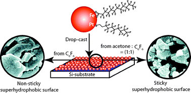 Graphical abstract: Self-assembly of fluorocarbon-coated FePt nanoparticles for controlling structure and wettability of surfaces