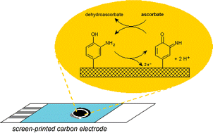 Graphical abstract: Amperometric sensing of ascorbic acid using a disposable screen-printed electrode modified with electrografted o-aminophenol film
