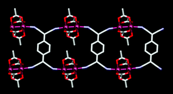 Graphical abstract: A ladder based on paddlewheel diruthenium(ii, ii) rails connected by TCNQ rungs: a polymorph of the hexagonal 2-D network phase