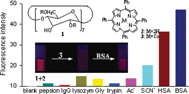 Graphical abstract: Interactions between protein and porphyrin-containing cyclodextrin supramolecular system: a fluorescent sensing approach for albumin