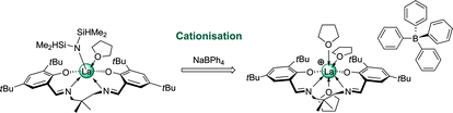 Graphical abstract: Cationic rare-earth metal SALEN complexes