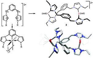 Graphical abstract: An unprecedented, figure-of-eight, dinuclear iridium(i) dicarbene and new iridium(iii) ‘pincer’ complexes