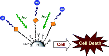 Graphical abstract: Nitric oxide photocaging platinum nanoparticles with anticancer potential