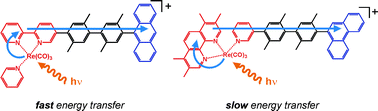 Graphical abstract: Energy transfer from rhenium(i) complexes to covalently attached anthracenes and phenanthrenes