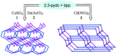 Graphical abstract: Metal–organic frameworks based on the pyridine-2,3-dicarboxylate and a flexible bispyridyl ligand: syntheses, structures, and photoluminescence