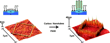 Graphical abstract: Patterned polyaniline & carbon nanotube–polyaniline composites on silicon