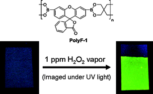 Graphical abstract: Polymerization of a boronate-functionalized fluorophore by double transesterification: applications to fluorescence detection of hydrogen peroxide vapor