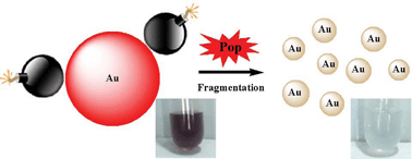Graphical abstract: The fragmentation of gold nanoparticles induced by small biomolecules