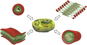 Graphical abstract: Recent advances in functional supramolecular nanostructures assembled from bioactive building blocks