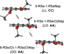 Graphical abstract: How does non-covalent Se⋯Se [[double bond, length as m-dash]] O interaction stabilize selenoxides at naphthalene 1,8-positions: structural and theoretical investigations