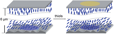 Graphical abstract: Principles of detecting vaporous thiols using liquid crystals and metal ion microarrays