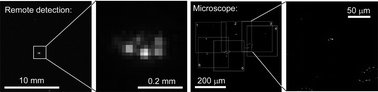 Graphical abstract: Absolute brightness of fluorescent microspheres