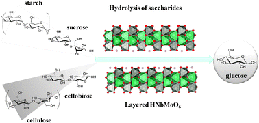 Graphical abstract: Glucose production from saccharides using layered transition metal oxide and exfoliated nanosheets as a water-tolerant solid acid catalyst