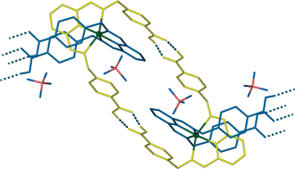 Graphical abstract: A crystalline hydrogen-bonded network with a poly-catenate topology