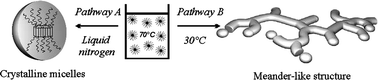 Graphical abstract: Crystallization-induced switching of the morphology of poly(ethylene oxide)-block-polybutadiene micelles