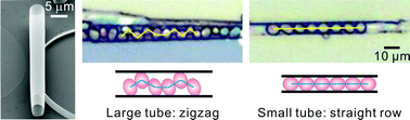 Graphical abstract: Rolled-up transparent microtubes as two-dimensionally confined culture scaffolds of individual yeast cells