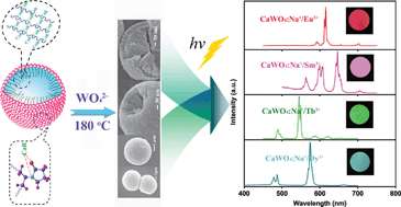 Graphical abstract: Self-assembly and multicolor emission of core/shell structured CaWO4:Na+/Ln3+ spheres