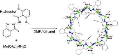 Graphical abstract: A dodecanuclear metallamacrocycle having a multidentate bridging ligand in two different binding modes