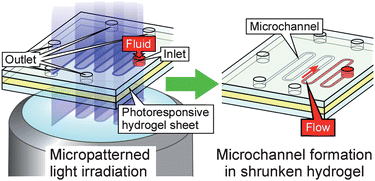 Graphical abstract: On-demand microfluidic control by micropatterned light irradiation of a photoresponsive hydrogel sheet