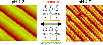 Graphical abstract: Conformational change in 4-pyridineethanethiolate self-assembled monolayers on Au(111) driven by protonation/deprotonation in electrolyte solutions