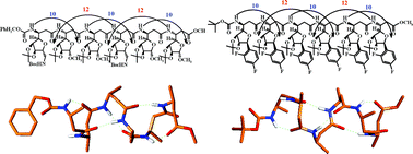 Graphical abstract: Synthesis and conformational studies of peptides from new C-linked carbo-β-amino acids (β-Caas) with anomeric methylamino- and difluorophenyl moieties