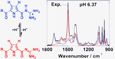 Graphical abstract: Characterization of guanidiniocarbonyl pyrroles in water by pH-dependent UV Raman spectroscopy and component analysis