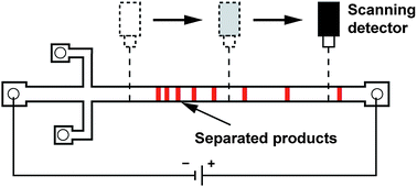 Graphical abstract: Microchip DNA electrophoresis with automated whole-gel scanning detection