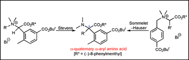 Graphical abstract: New synthetic routes to optically active α-quaternary α-aryl amino acid derivatives via the diastereoselective Stevens and Sommelet–Hauser rearrangements