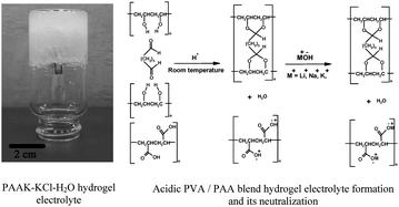 Graphical abstract: Hydrogel-polymer electrolytes for electrochemical capacitors: an overview