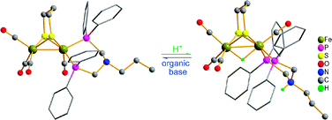 Graphical abstract: A proton–hydride diiron complex with a base-containing diphosphine ligand relevant to the [FeFe]-hydrogenase active site