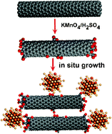 Graphical abstract: Carbon nanotube–nanocrystal heterostructures