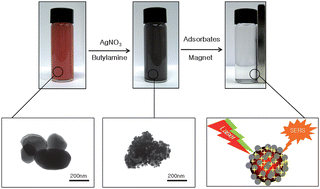 Graphical abstract: Ag nanostructures assembled on magnetic particles for ready SERS-based detection of dissolved chemical species